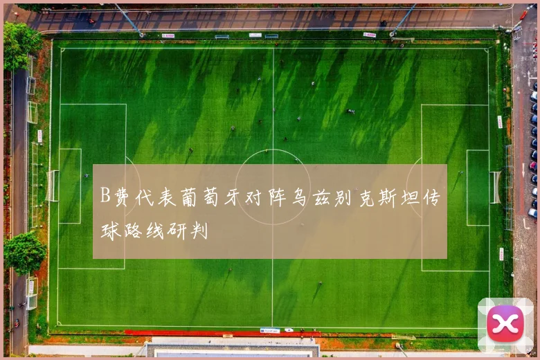 B费代表葡萄牙对阵乌兹别克斯坦传球路线研判