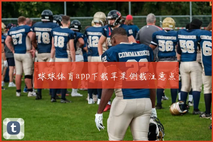 球球体育app下载苹果侧载注意点