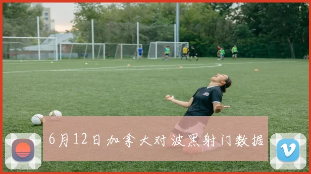 6月12日加拿大对波黑射门数据