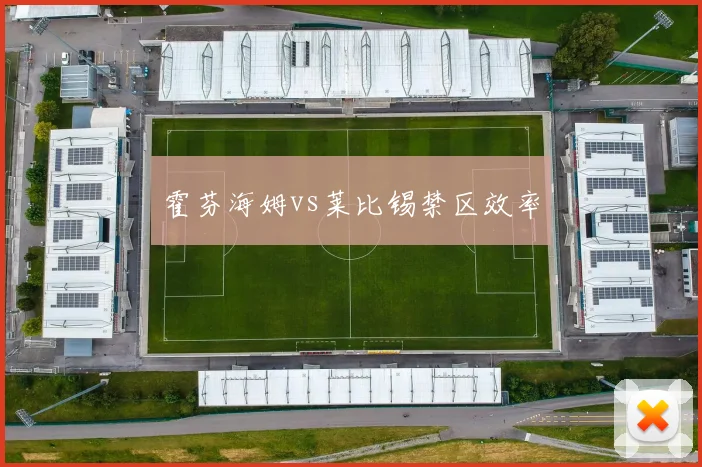 霍芬海姆vs莱比锡禁区效率